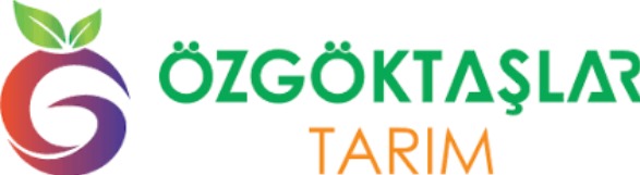 bd9521c2-9dd9-48d4-b8e2-fef499fc0648